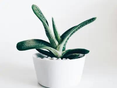 亿万28官网1